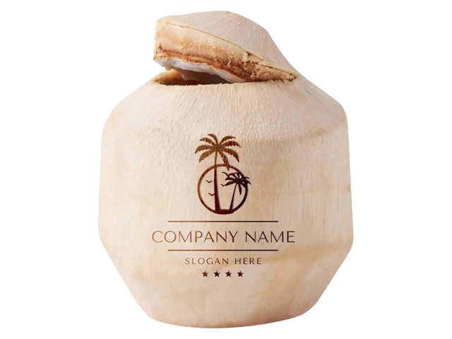 CO2 激光打標(biāo)機在新鮮椰子上 DIY 定制徽標(biāo) CO2 激光打標(biāo)機在新鮮椰子上 DIY 定制徽標(biāo)