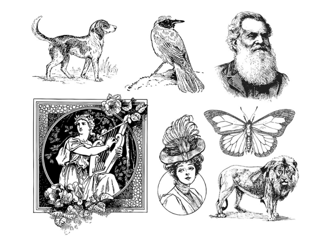 免費(fèi) 2D/3D激光蝕刻機(jī)的激光雕刻矢量文件